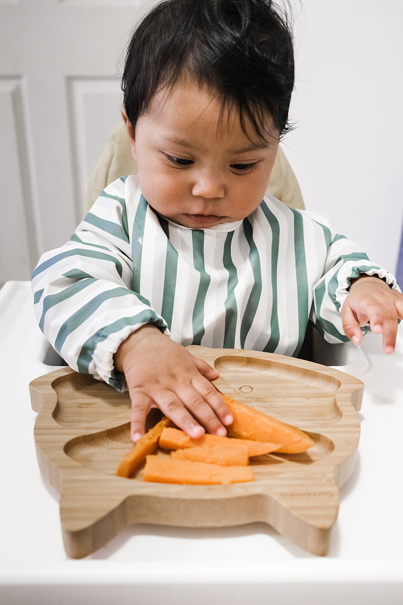 baby led weaning long sleeve bib. baby self feeding