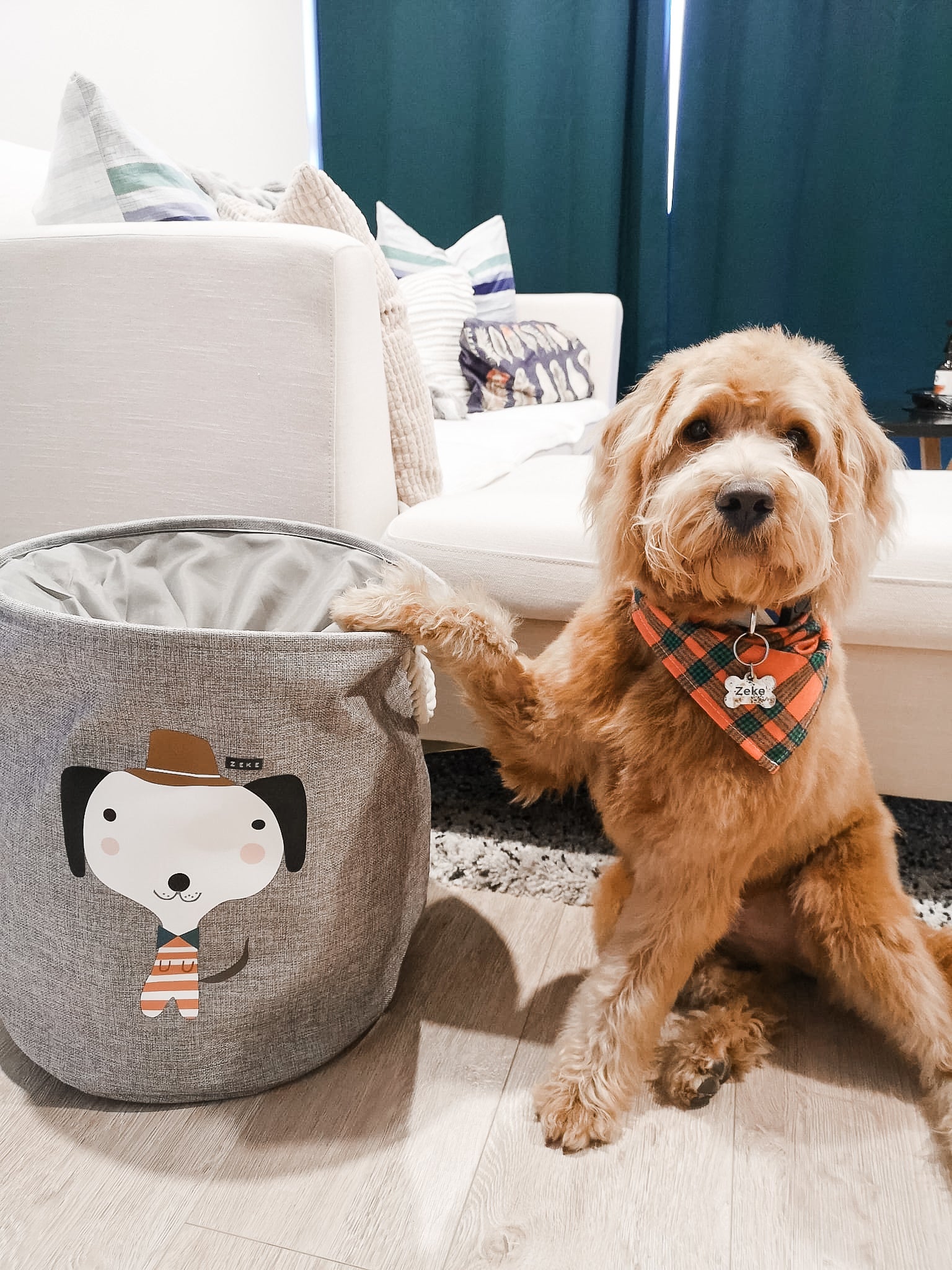 Storage basket for dogs toys