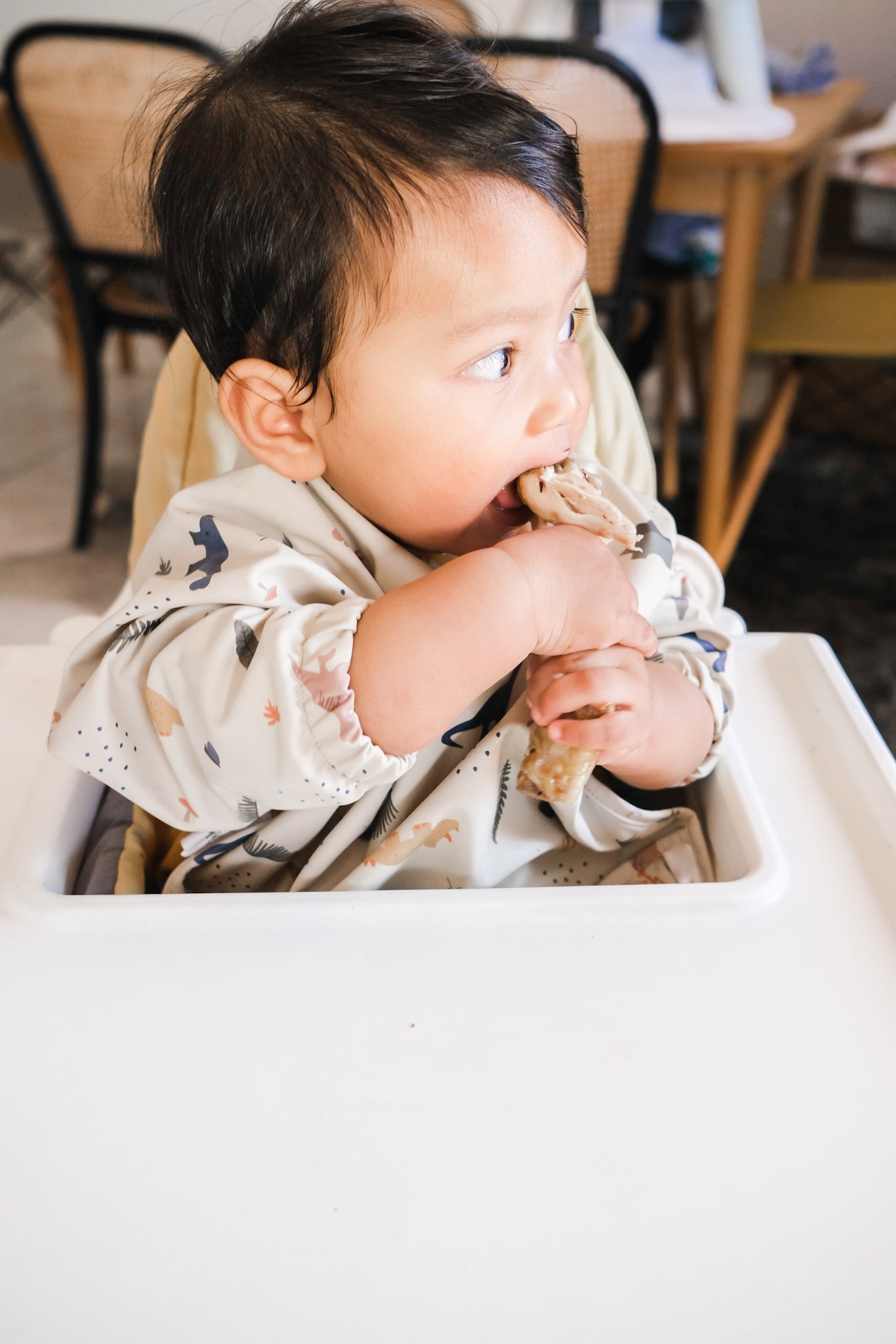 Long Sleeve Smock Bib - Sandy Dino