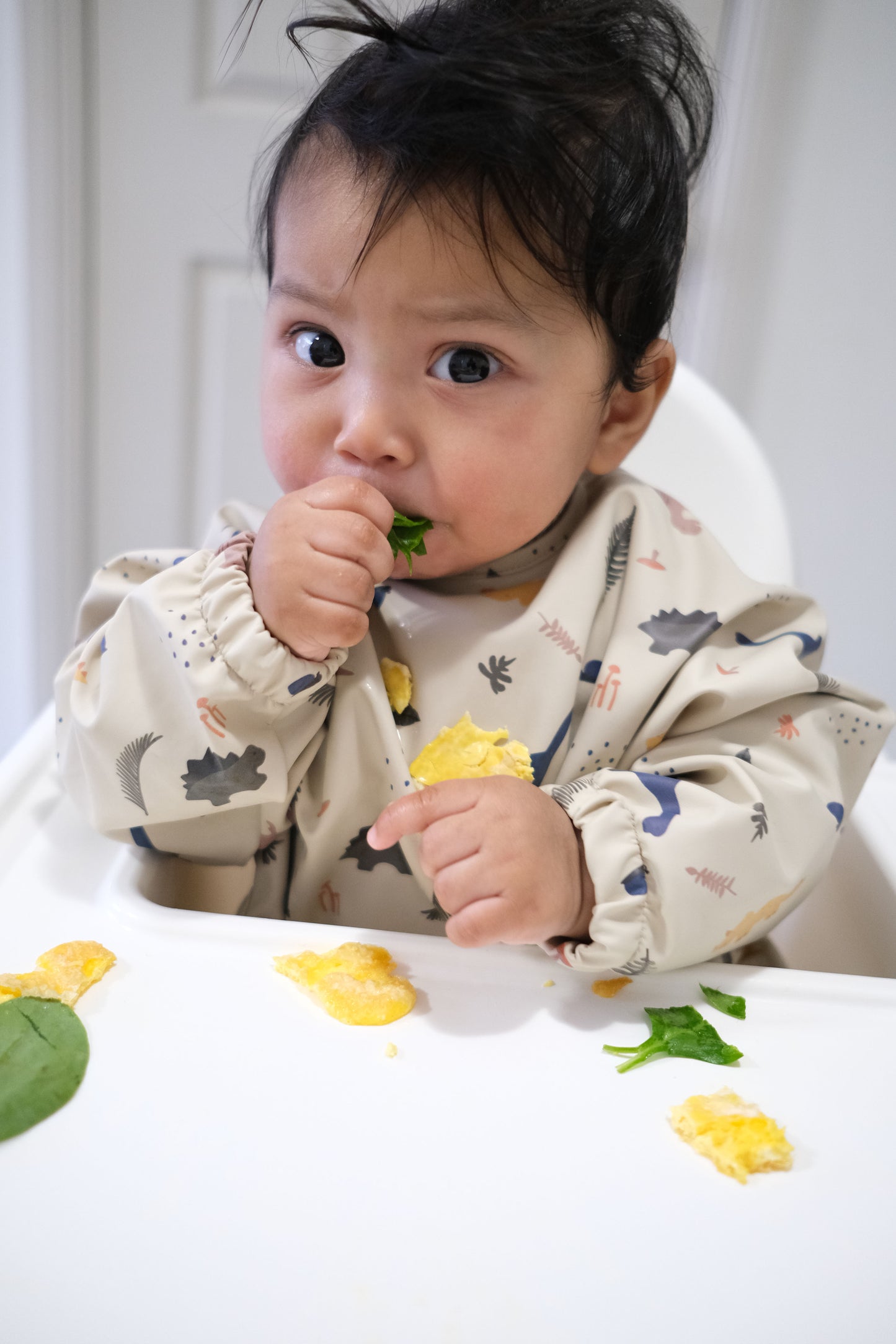 Long Sleeve Smock Bib - Sandy Dino